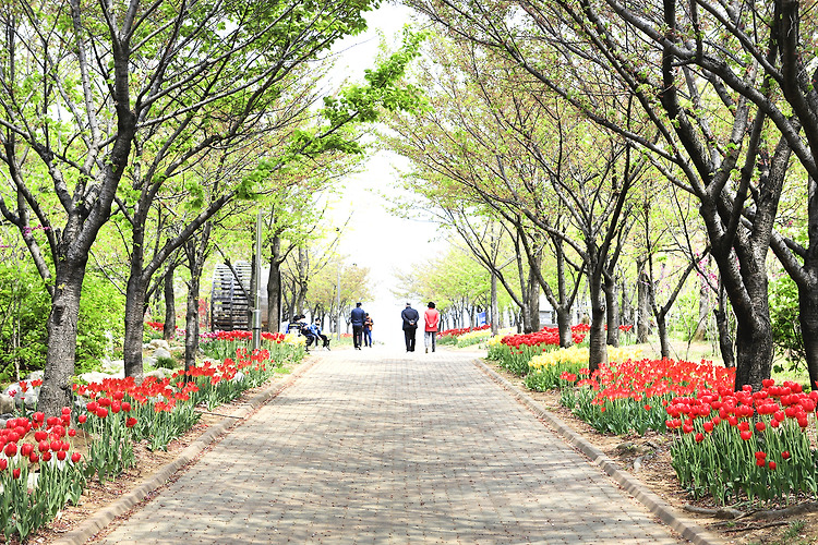 인천 중앙공원