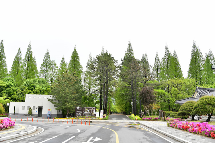 경주 경북 천년숲 정원(20240424)