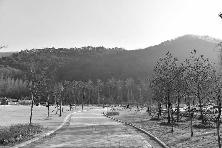 대전 상소동 산림욕장(20230205)