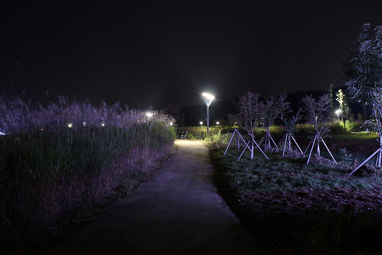 논산 탑정호 생태공원