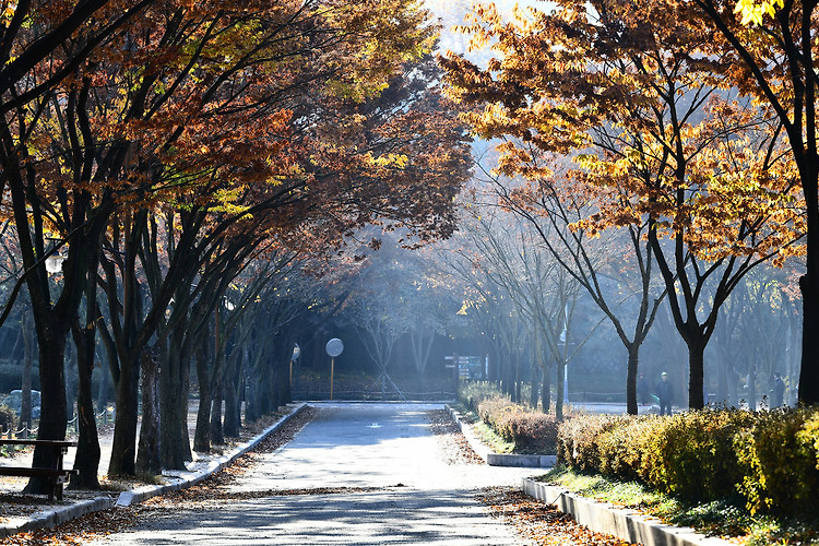 인천대공원(20191109)