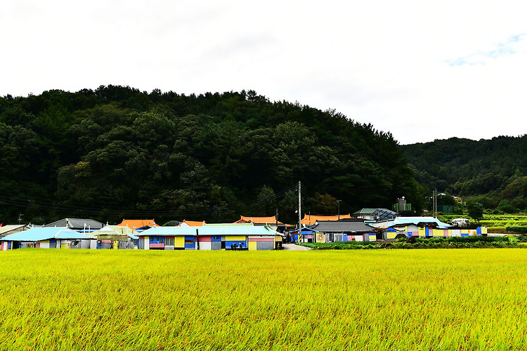 원정동 예쁜 마을(20191003)