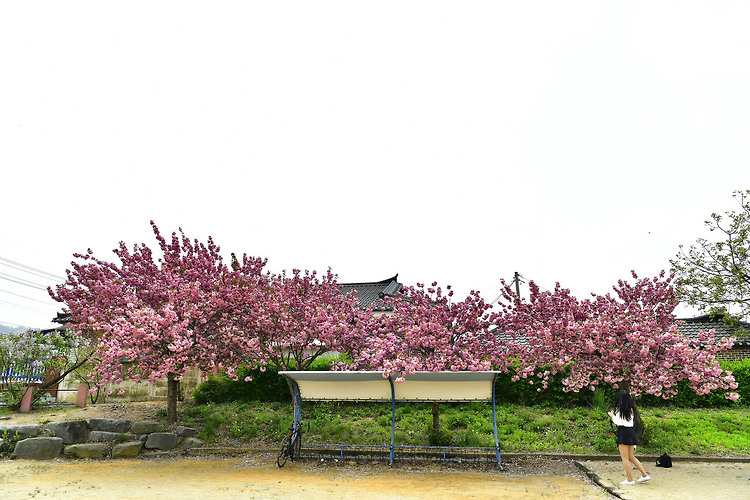 서산 운산초등학교(20200501)