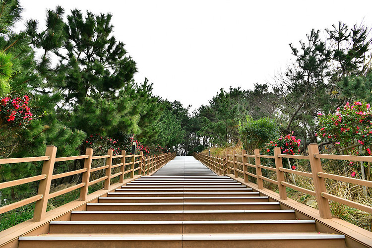울산 대왕암 공원(20191221)