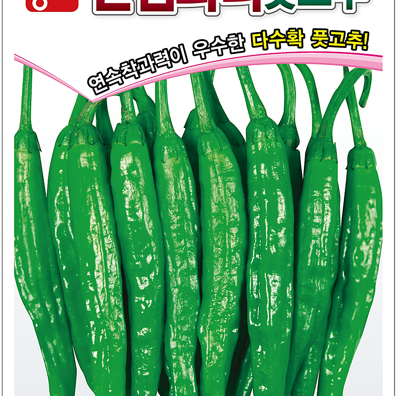 한림꽈리 풋고추 씨앗종자, 초보자도 쉽게 재배하는 노하우!