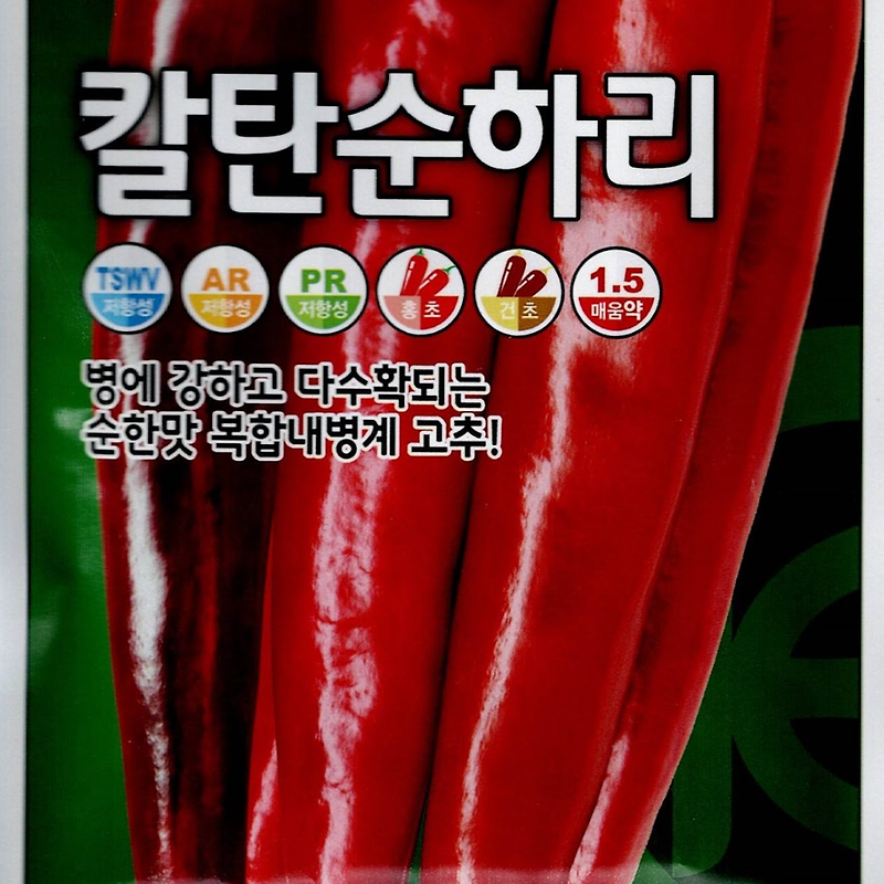 칼탄순하리 고추 씨앗종자, 병에 강하고 맛있는 고추로 안정적인 수확하세요!