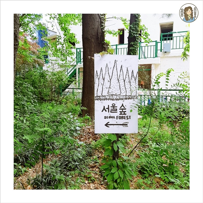 서울숲 산책 그리고 카페거리에서