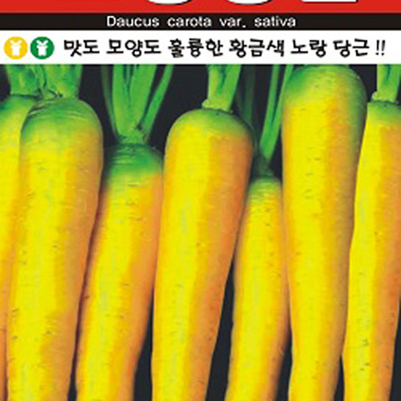 아람종묘 노랑당근 씨앗종자