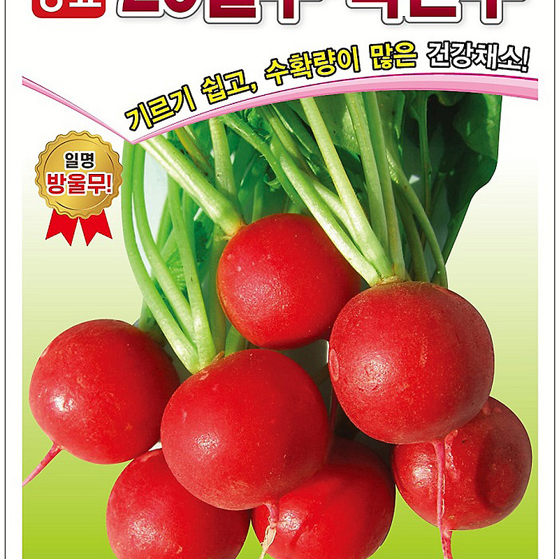 20일무 적환무 씨앗종자: 색깔, 모양, 맛 모두 뛰어나 샐러드나 쌈용
