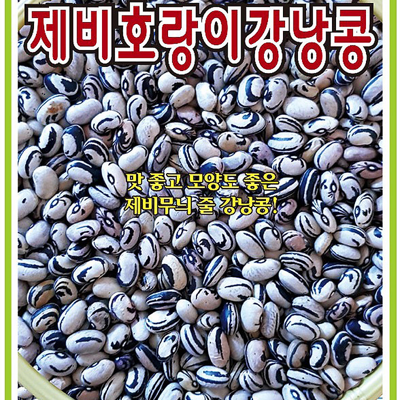 제비호랑이강낭콩(넝쿨) 씨앗종자: 맛과 모양이 아름다운 강낭콩