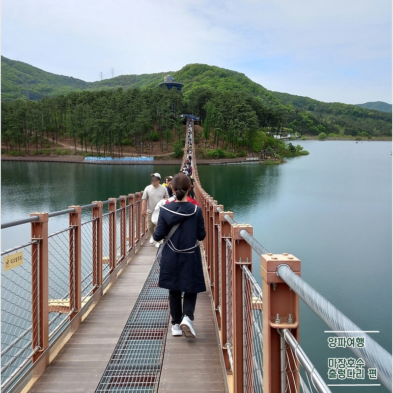 양파, 마장호수 출렁다리에서