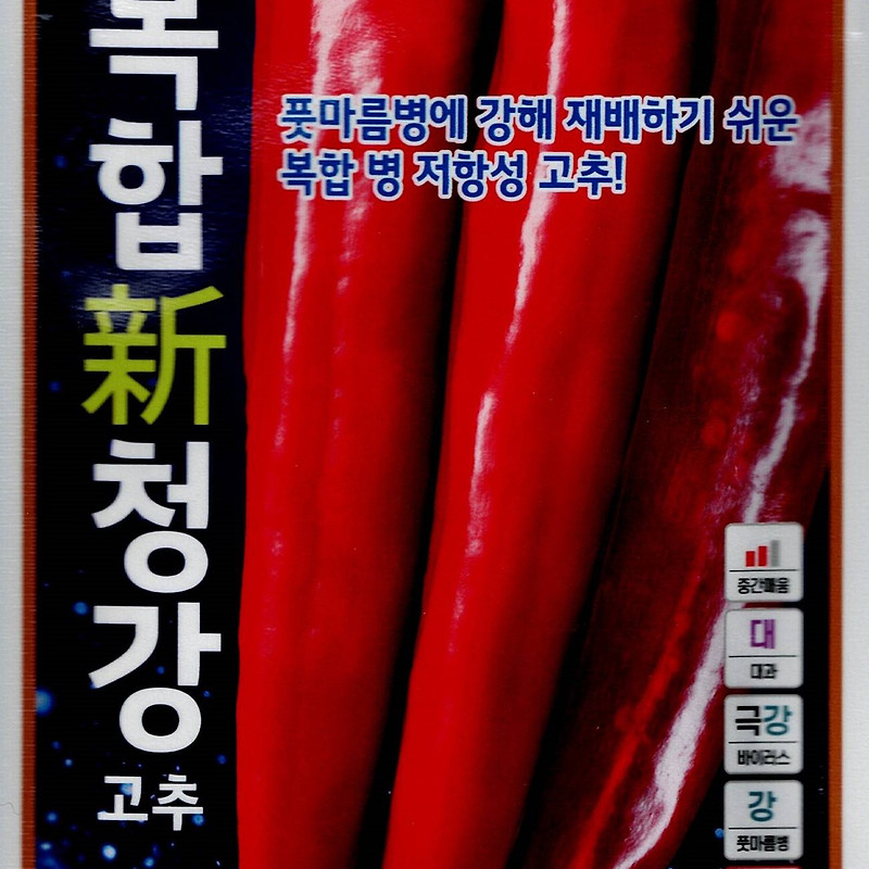 복합신청강 고추 씨앗종자, 청고병 풋마름병에 강한 안정적인 재배 경험