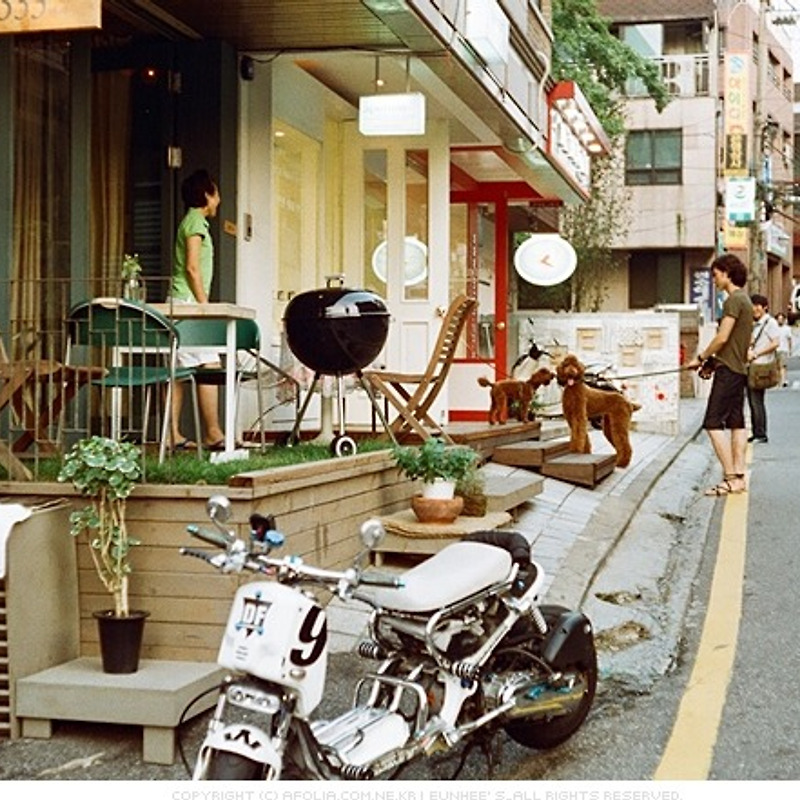 가로수길 카페 - 오시정 cafe