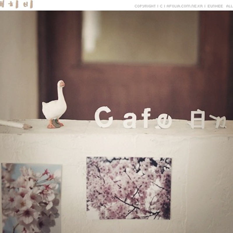 홍대 카페 - cafe hibi