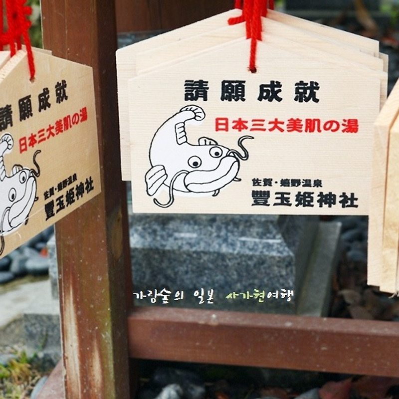 일본 사가현여행 #10 - 메기신사보고 시볼트들리기