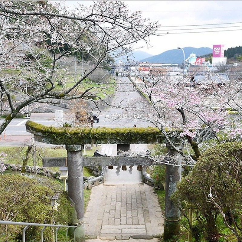 일본 사가현여행 #14 - 다케오신사에서