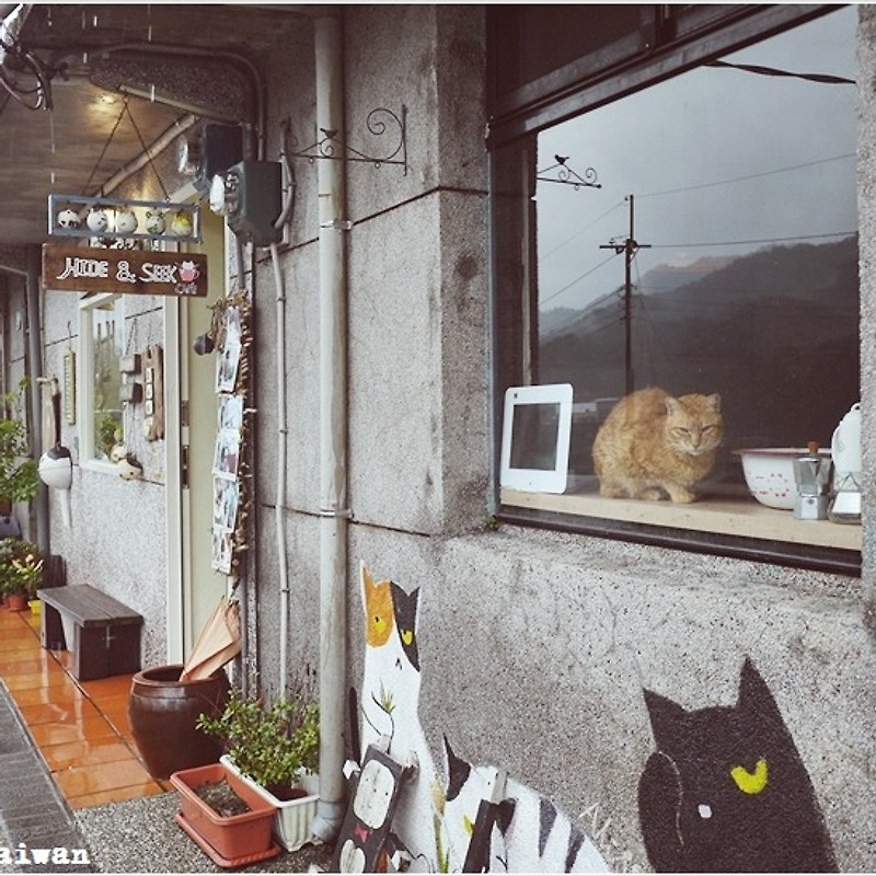 대만여행 #9 - 허우통 고양이마을 산책②