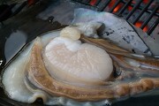 대하(새우 소금구이)가 맛있다는 조개구이 맛집, 인천 청천동 맛집「등갈비와 조개구이」