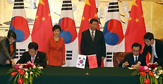 11월의 이슈 한중FTA 타결에 대한 중국반응
