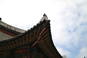 가족 서울나들이, 눈으로 보는 불만폭주 가족들과 덕수궁(186장)