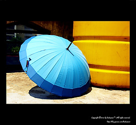 파란우산