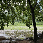 myimage