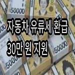 자동차 유류세 환급 30만 원 지원