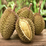 article thumnail