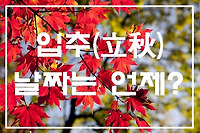 입추 날짜는 언제?  2022년 입추(立秋) 알아보기