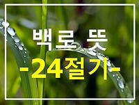 백로 뜻 알아볼께요 (24절기), 2023년 백로는 언제?