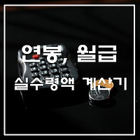 2020년 연봉 실수령액 계산기, 실제 월급 확인하기