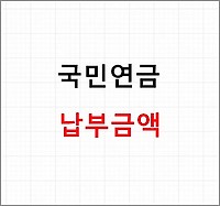 국민연금 납부액, 납부 내역 조회하기