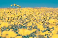 2019년 4월 ― 아직, 있다