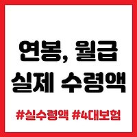 2023 연봉 실수령액, 월급 실수령액은 얼마? 엑셀 파일 만들기