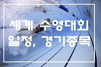 광주 세계수영선수권대회 개막식 일정 경기종목 알아볼께요.