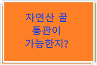 자연산 꿀 통관이 가능한지?