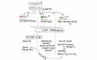 2014수능예비A: 알렉산드로스