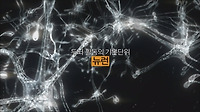 기억 정보가 뇌에 저장되는 방식(2006, 고3, 10월)