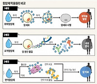 암 치료에 사용되는 세포 독성 항암제와 표적 항암제(2015, 9월모평B)