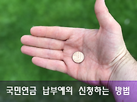 소득이 없는 경우 국민연금 보험료 납부는? 납부예외신청 제도 알아보기