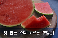 맛있는 수박 고르는 방법, 잘 익은 수박 고르는 방법 알아보기