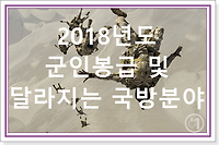 2018 군인(하사, 중사, 상사, 원사 등) 봉급 및 달라지는 국방분야 총정리