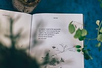 시 읽고 보고문 쓰기