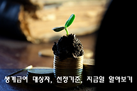 기초생활보장 생계급여 대상자, 산정기준, 급여지급일 알아보기