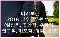 미리보는 2018 대우공무원수당(일반직, 공안직, 우정직, 연구직, 지도직, 경찰, 소방)