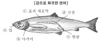 어류의 삼투조절(2014, 고3, 4월A)*