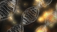 DNA 특성을 이용한 유전자 치료(2008, 고3, 10월)