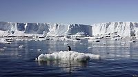 과거의 대기 성분과 기온 변화를 알 수 있는 남극 빙하(2008, 9월모평)