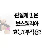 article-rep-url1