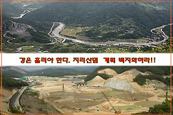 대표 관련이미지